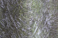 Muston fibreglass roof work